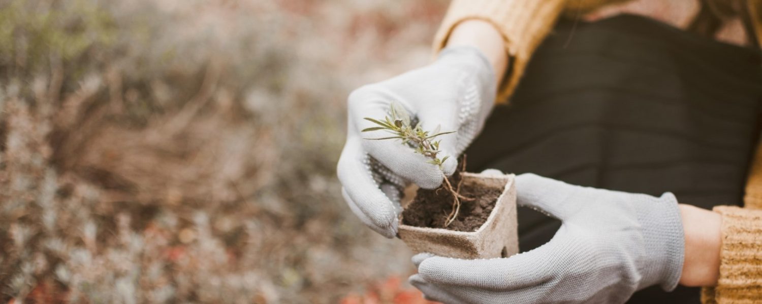 gardener (Grande)-min